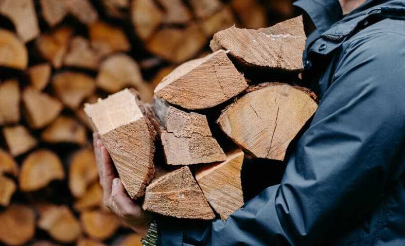 Во Франции начали выдавать талоны на дрова